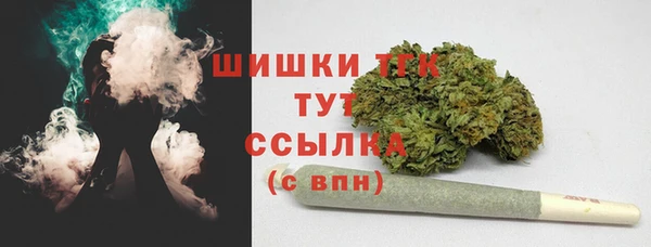 спайс Вяземский