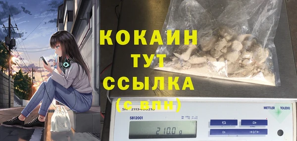 дурь Горняк