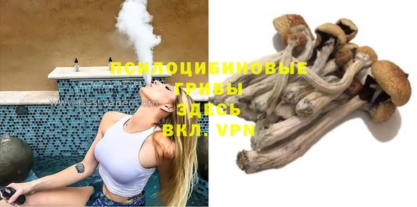 спайс Вяземский